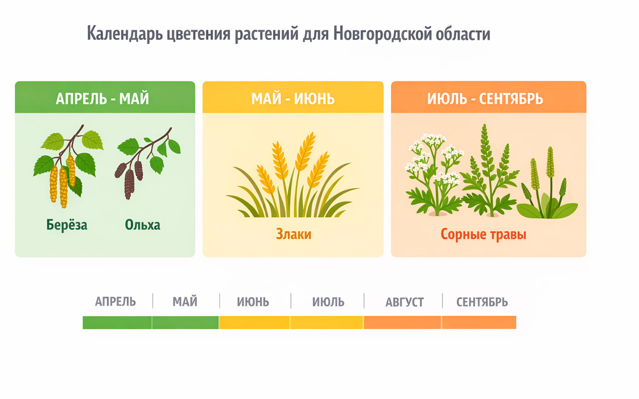 Аллергия
